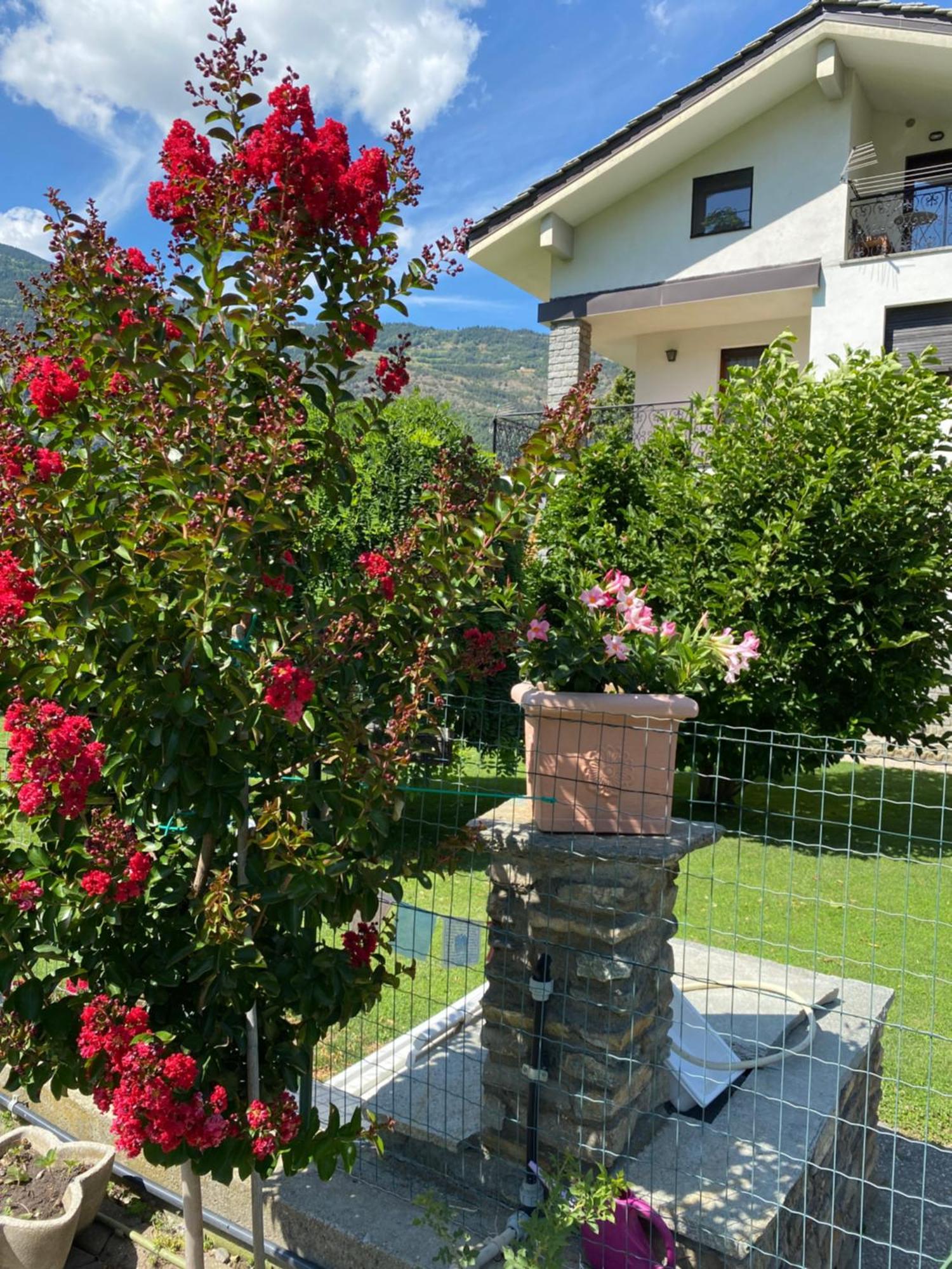 Il Tiglio Gressan Appartement Aosta Buitenkant foto